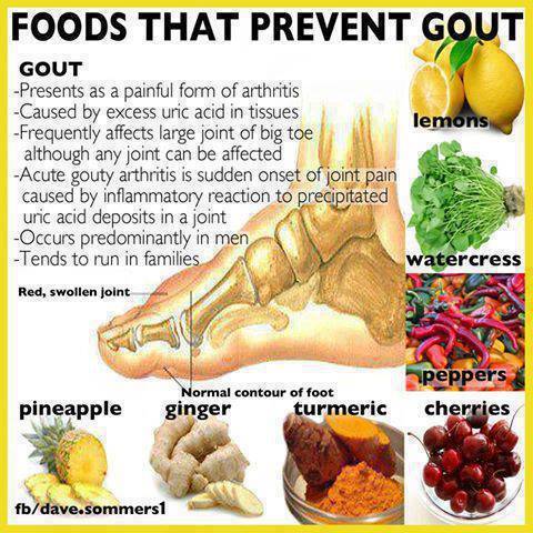 Diet Plan To Avoid Gout